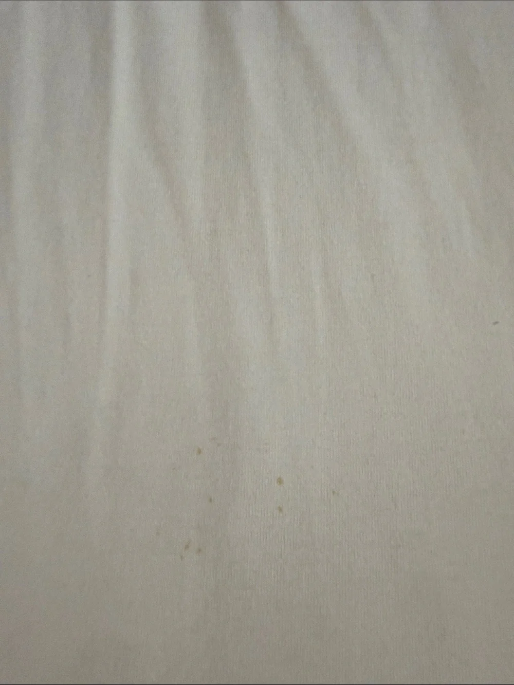 Tommy Hilfiger Cream Rugby Shirt with Red & Navy Hilfiger Stripe